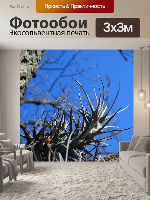 Фотообои Эпифитное растение