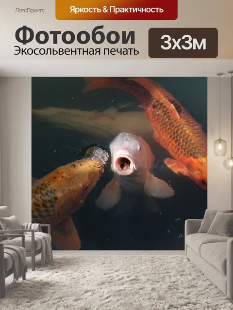 Фотообои Koi