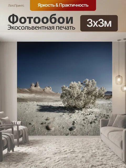 Фотообои Монохромный Desert Буш