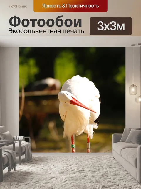 Фотообои Аист
