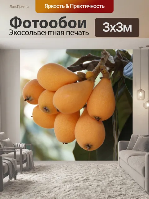 Фотообои Большой
