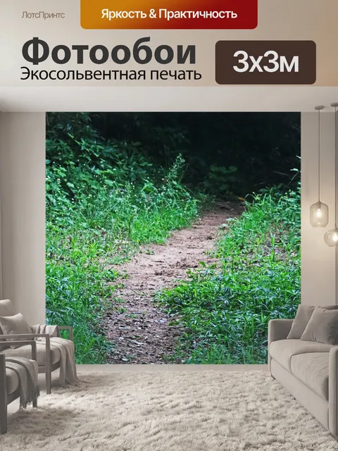 Фотообои Путь в темный лес