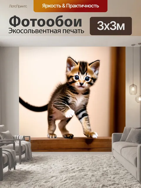 Фотообои с котятами, исследующими новую игрушку — лазерную указку, когда один из них прыгает, пытаясь поймать луч света