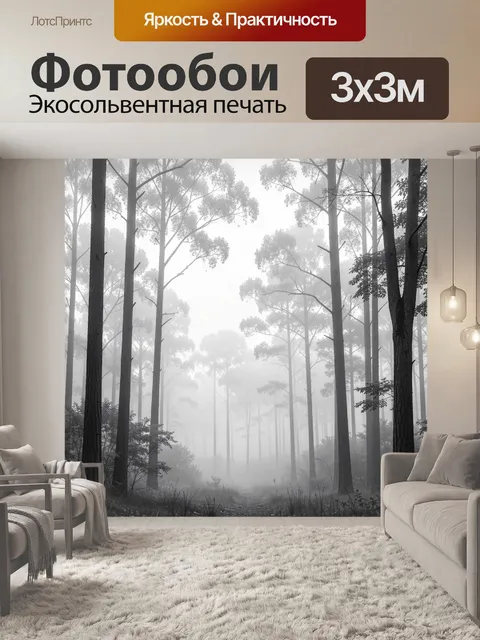 Фотообои Туманный лес с высокими деревьями