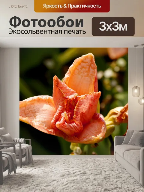 Фотообои Открытие цветок