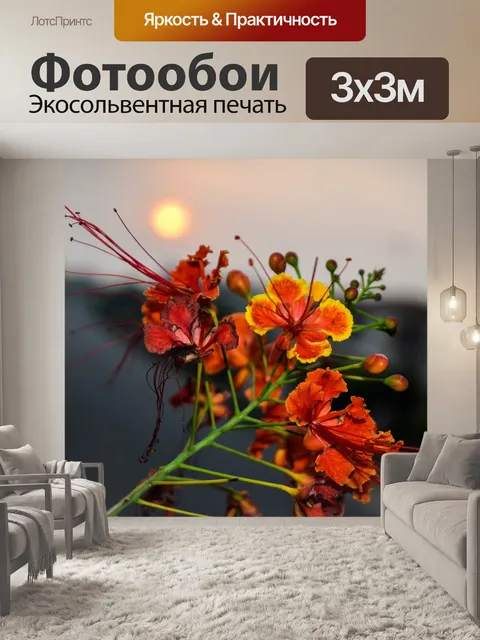 Фотообои Утро