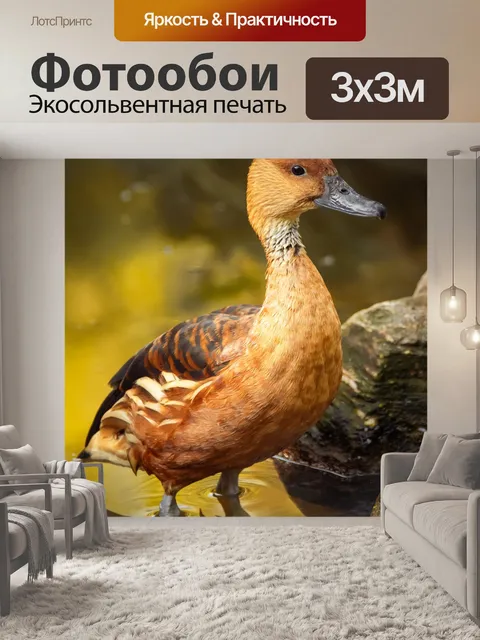 Фотообои милая коричневая утка