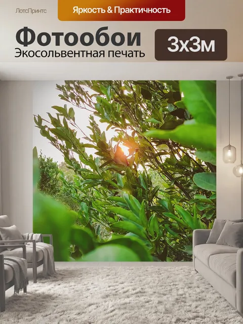 Фотообои Дерево
