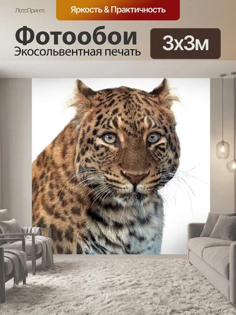 Фотообои Пантера