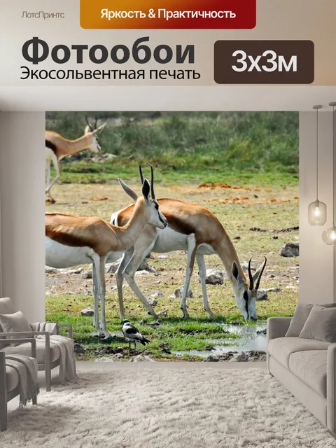 Фотообои Африке