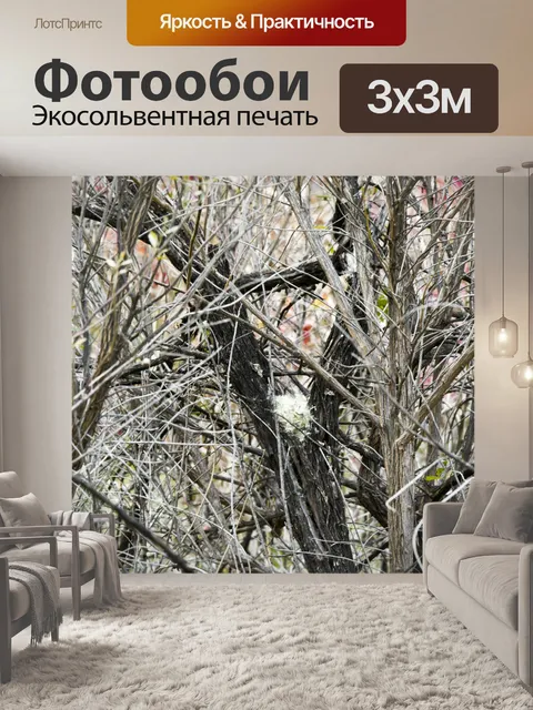 Фотообои Лес Ветки