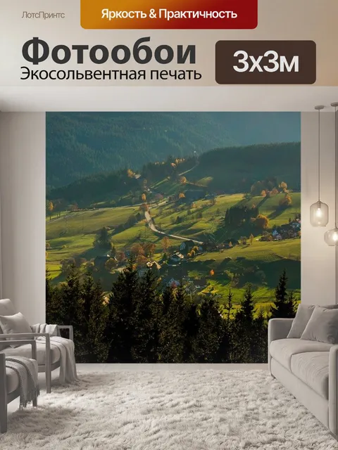 Фотообои Черный лес
