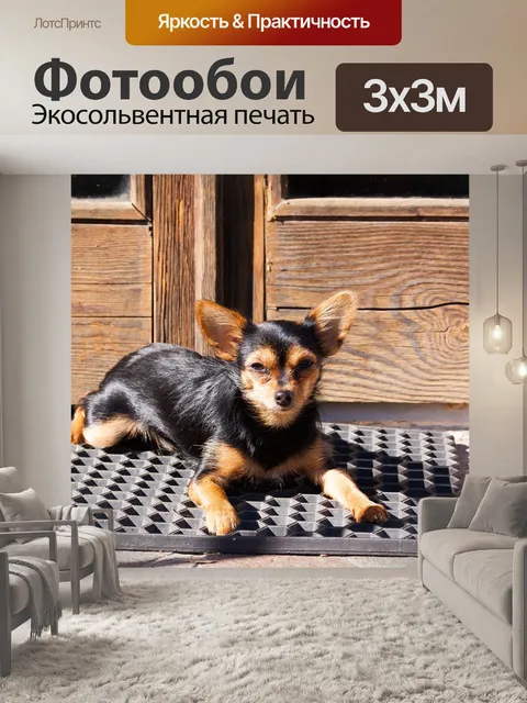 Фотообои Йоркширский терьер