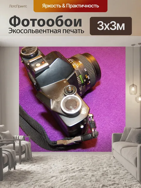 Фотообои старинный фотоаппарат