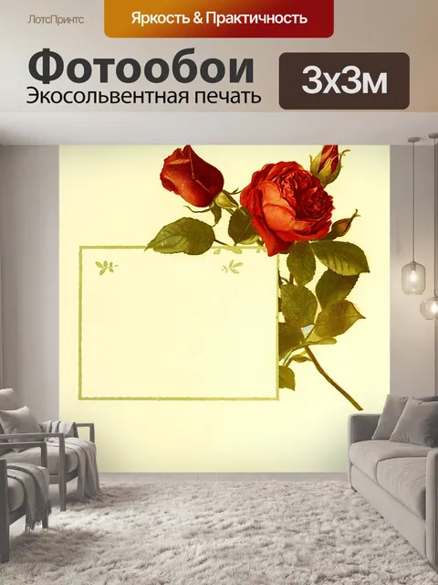Фотообои Рамка
