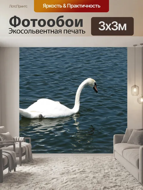 Фотообои белый лебедь