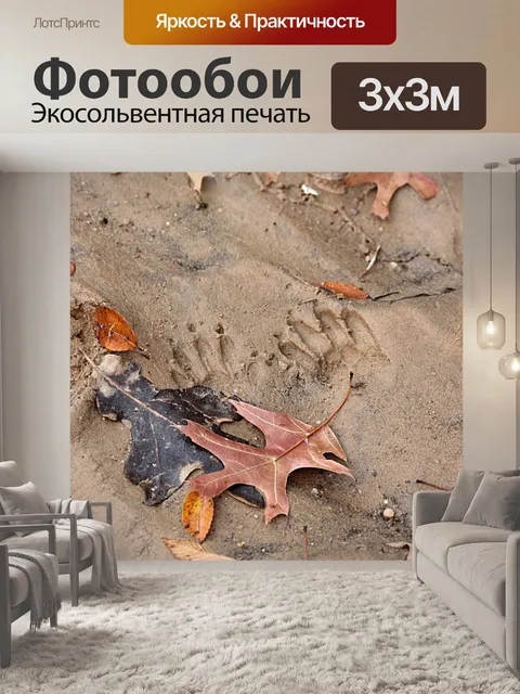 Фотообои Енотские треки