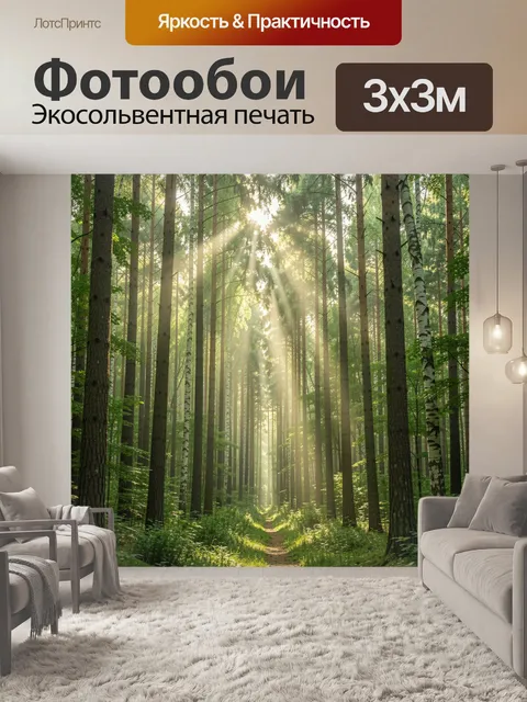 Фотообои Солнечная тропа в лесу