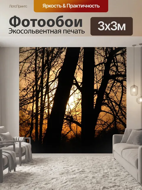 Фотообои Закат
