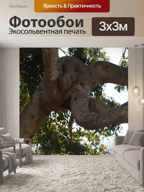 Фотообои Дерево