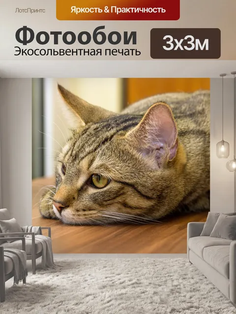 Фотообои Похмелье
