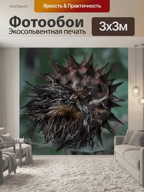 Фотообои Ботанический