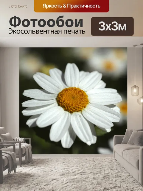 Фотообои Цветок