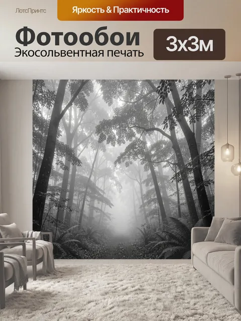 Фотообои Туманный лес с высокими деревьями