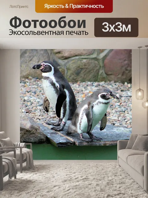 Фотообои Пингвины