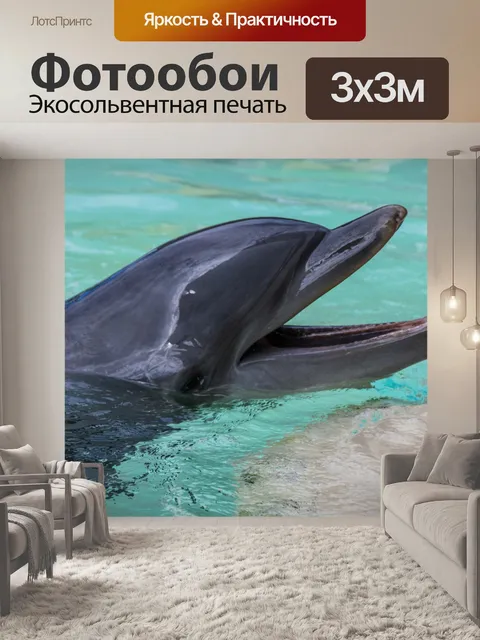 Фотообои Улыбающийся дельфин