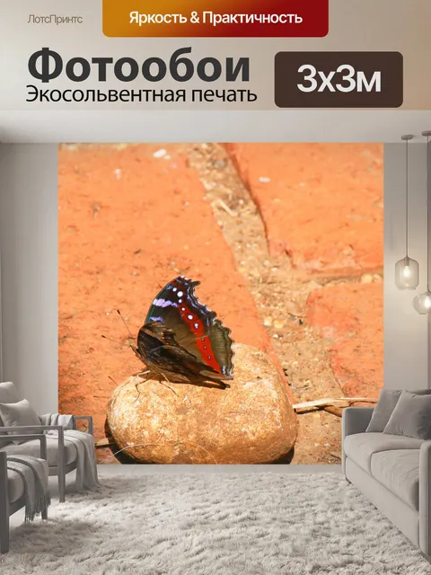 Фотообои коричневая садовая бабочка коммодора
