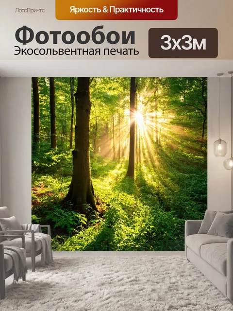 Фотообои лес, освещенный яркими лучами солнца, с зелеными лиственными деревьями и ароматными травами, создающими…