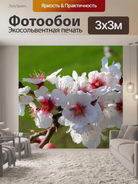 Фотообои Цветок миндаля