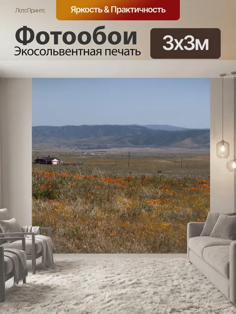 Фотообои Дом в попсовых полях