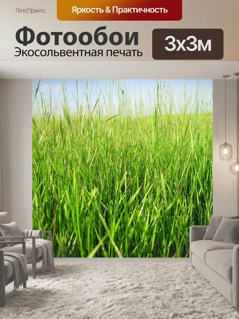 Фотообои Голубое небо