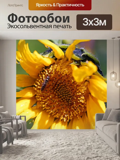 Фотообои Расцветает