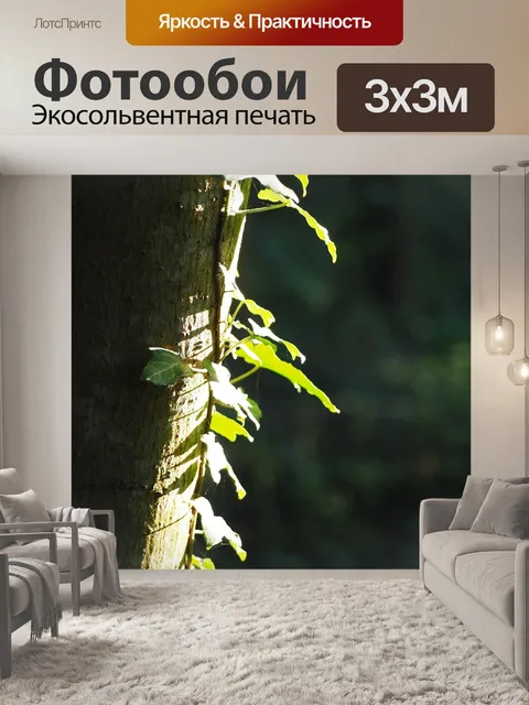 Фотообои Ствол дерева