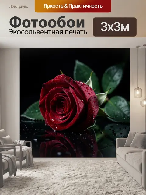 Фотообои Бордовая роза с каплями росы