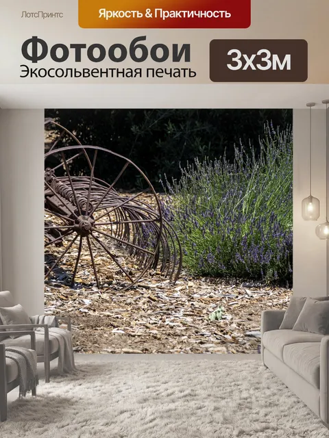 Фотообои Лавандовое поле