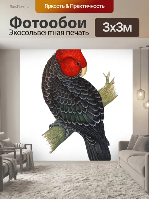 Фотообои Какаду Винтаж Птицы Искусство