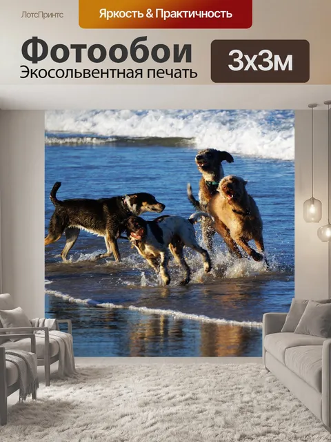 Фотообои Собаки на пляже
