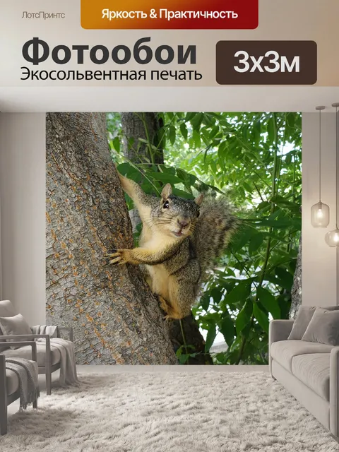 Фотообои Белка лисы в дереве