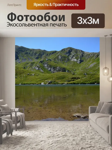 Фотообои Игла