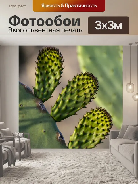 Фотообои кактус