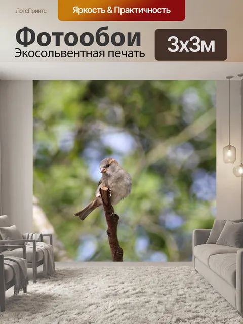 Фотообои Птица