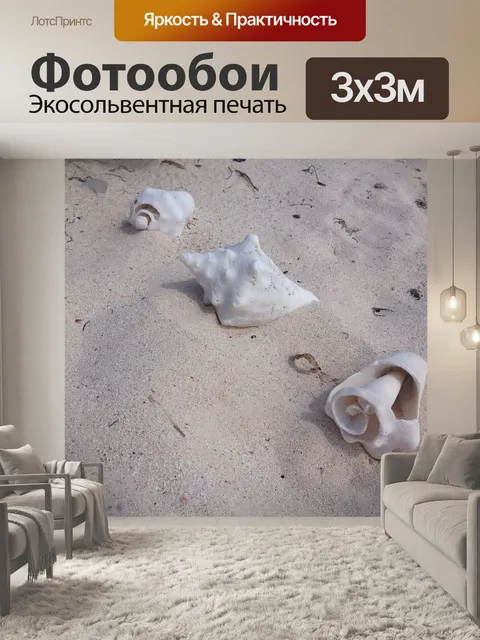 Фотообои Раковины