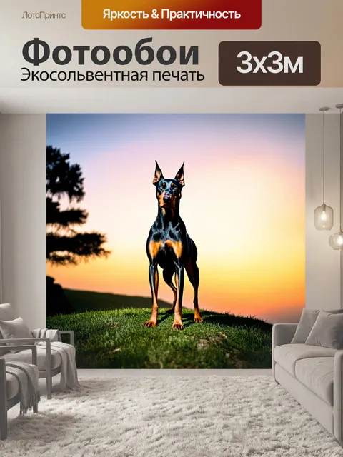 Фотообои доберман с размахом, гордо стоящий на вершине холма в вечернем свете заката, его гладкая шерсть сверкает, с…