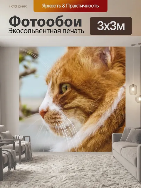 Фотообои Кошка