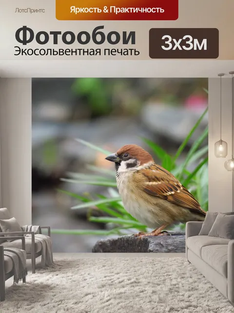 Фотообои Пальма