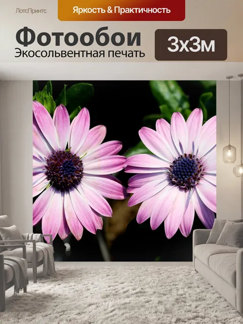 Фотообои Увидеть супер максимум